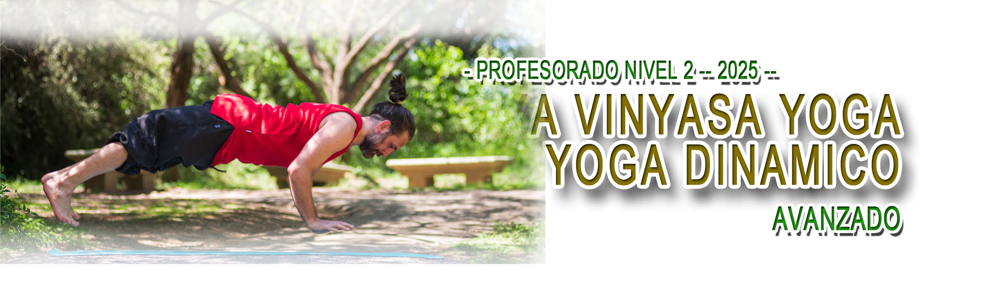 Profesorado Avanzado 2025