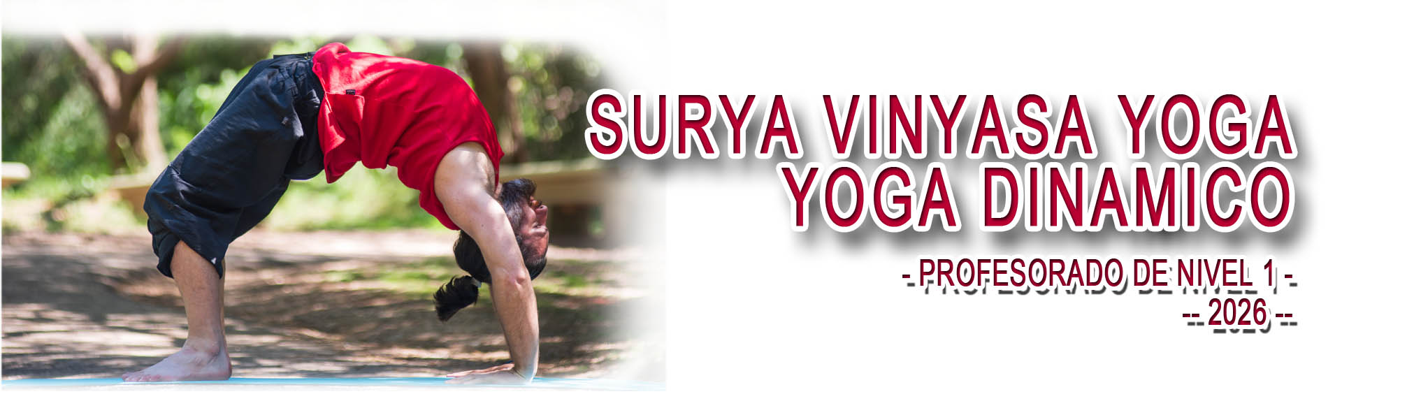 PROFESORADO SURYA Y DINÁMICO 2026